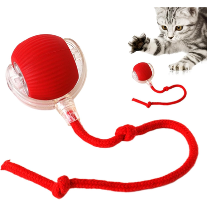 PAWPLAY Pelota Inteligente