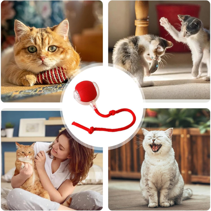 PAWPLAY Pelota Inteligente